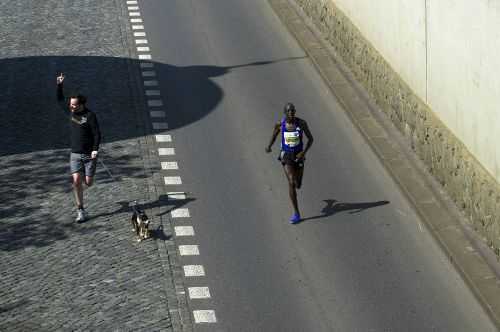 MARATONA DI PRAGA | 42K,Staffetta 2015